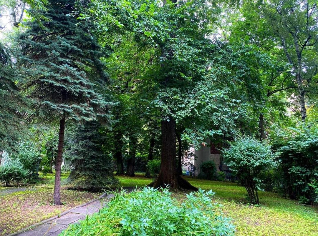 Appartement With Garden In Old Town *
